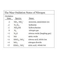 Easy Diagram Of Nitrogen Cycle Shows Conversions In The
