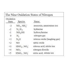 easy diagram of nitrogen cycle shows conversions in the