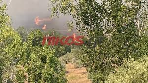 Σαρωτικό ήταν το πέρασμα του μεσογειακού κυκλώνα από τη φθιώτιδα και την εύβοια, με τις περιοχές να μετρούν τις πληγές τους και την πυροσβεστική να κάνει αγώνα δρόμου για τον εντοπισμό τριών ανθρώπων Eyboia Mainetai H Fwtia Stis Robies Binteo Kai Fwto Anagnwsth
