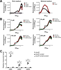 Image result for Alafia zambesiaca