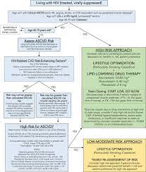 What are the definitions of hiv and aids terms? Characteristics Prevention And Management Of Cardiovascular Disease In People Living With Hiv A Scientific Statement From The American Heart Association Circulation