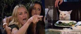 Woman Yelling At Cat Meme Generator Imgflip