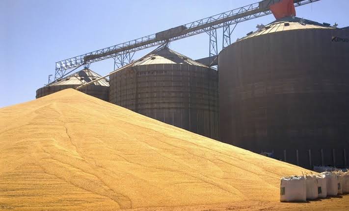 Investimentos da Conab em armazenagem vão ampliar unidades de Sorriso e  Rondonópolis - MT Econômico