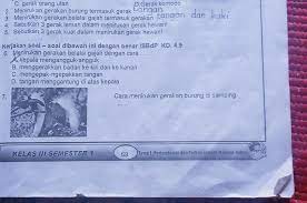 Sebutkan 3 Gerak Lemah Dalam Menirukan Gerak Hewan Brainly Co Id
