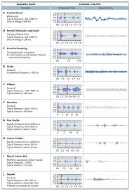 Tom Prophet Hsiung Fundamentals Of Lung Auscultation