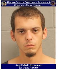 POLICE CHASE ENDS WITH DOG BITE AND THE ARREST OF TWO SUSPECTS On November  26, 2019 deputies with Constable Mark Herman's Special Operations Unit  initiated a traffic stop at Northcrest Drive and