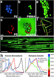 Our currency rankings show that the most popular japanese yen exchange rate is the jpy to eur rate. Lipid Biochemical Changes Detected In Normal Appearing White Matter Of Chronic Multiple Sclerosis By Spectral Coherent Raman Imaging Chemical Science Rsc Publishing