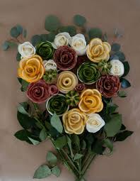 Image result for Erica evansii