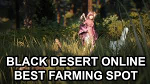 Having a steady stream of silver and materials which you do not actively need to earn is a truly helpful thing in black desert online. Black Desert Online Tips Best Place To Earn Money Youtube
