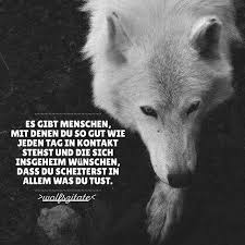 Falschefreunde Hashtag On Instagram Insta Stalker