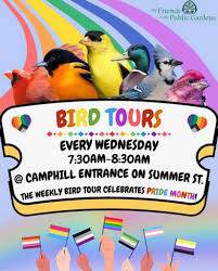 Public Gardens Bird Tour