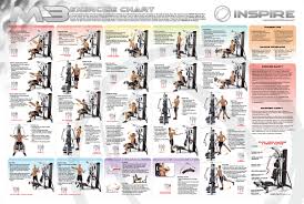 Weider Home Gym Exercise Chart Weider Home Gym Exercise Chart