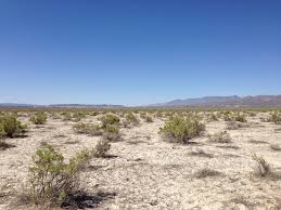 Image result for Little Catnip Spring - Sheldon Refuge Winnemucca NV