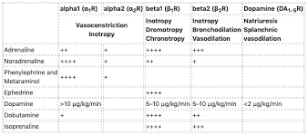 Inotropes Vasopressors And Other Vasoactive Agents Litfl Ccc