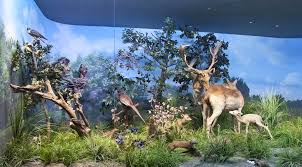 „acesta este un record pe care dorim să îl împărtăşim, iar per ansamblu în această ediţie se observă o. Top 5 Muzee De Vizitat In BucureÈ™ti In Noaptea Muzeelor 2019 De SambÄƒtÄƒ 18 Mai