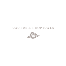 Our store is stocked with thousands of tropical plants, orchids, cactus, bonsai, fresh flowers and blooming plants as well as gifts and garden accessories. Cactus Tropicals Overview News Competitors Zoominfo Com