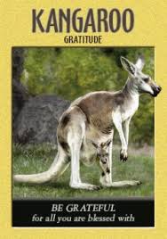 Power Animal Archives Earth Magic Power Animal Kangaroo Animal Spirit Guides