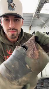 Derrick Austin Snipes