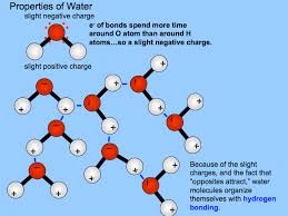 The unequal sharing of electrons between the atoms and the unsymmetrical shape of. Breaking Bonds