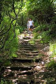 Mt Pisgah Hiking Trail North Carolina Hiking Places Camping And Hiking Hiking Trails