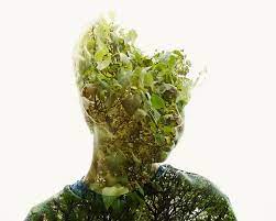 He fell in love with this art four years ago and has experimented in the field of multiple. Christoffer Relander We Are Nature Environment Photography Photography Inspiration Nature Multiple Exposure