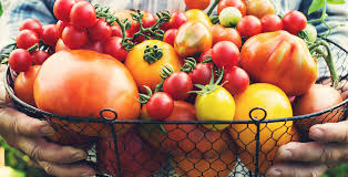 Maybe you would like to learn more about one of these? How To Roast And Freeze Tomatoes Easily Colorado Home And Garden