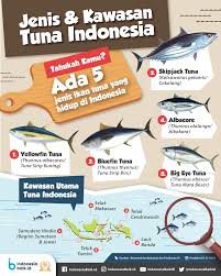 Check spelling or type a new query. Jenis Kawasan Tuna Indonesia Indonesia Baik
