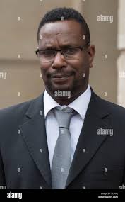 In the queens birthday honours list hi-res stock photography and images