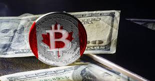 Best online trading platforms canada reviewed. Canadian Tax Agency Asks Coinsquare Crypto Exchange To Hand Over Clients Personal Data Blockchain News