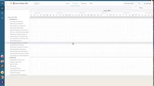 View Project Timeline