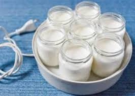 Recette Yogourt Maison Coco Maison Yaourt Yaourt Maison