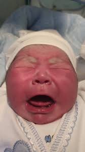 Nuovi Arrivi di Giocattoli a Coney e Sydney