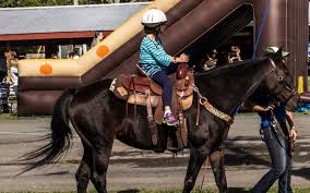 Gigsalad has an amazing variety of petting zoo providers, perfect for entertaining guests at your next party. Dream Ponies And Zoo Children S Petting Zoos For Hire In Charlton Saratoga County New York