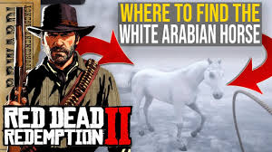 Jan 31, 2020 · of all the arabian horses, the white arabian horse is the only elite horse that can be found in the wild instead of having to be purchased, saving you a thousand dollars!. Gg Wallpaper Can T Find The White Arabian Horse Rdr2