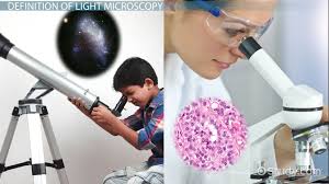 Light Microscope Definition Uses Parts