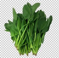 Browse 566 collard greens stock photos and images available, or search for cooked collard greens or fried chicken collard greens to find more great stock photos and pictures. Spinach Komatsuna Food Vegetable Collard Greens Png Clipart 13 Years Business Chinese Broccoli Choy Sum Cob