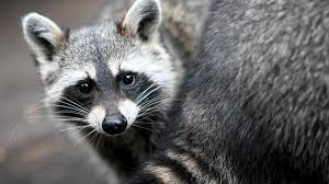 Ana - Ghost Hostel - Full Length Scenes