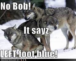 Kassi S World Funny Huskiness Edition Four Funny Husky Pictures Husky Funny Funny Dog Videos