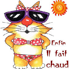 Résultat de recherche d'images pour "gif chaleur"