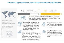 Alcohol, tobacco, and other drugs . Animal Intestinal Health Market Size Share Growth Trends Industry Statistics Forecasts Marketsandmarkets