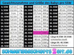 We did not find results for: 28 Ssw Entwicklung Grosse Gewichtszunahme Beim Baby