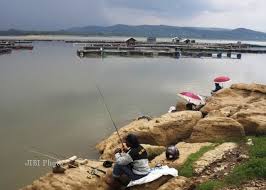 Nama waduk ini berasal dari keberadaan pegunungan gajah mungkur di dekatnya yang terletak di sebelah barat. 7 Wahana Wisata Keluarga Asik Di Waduk Gajah Mungkur Wonogiri Murah Meriah