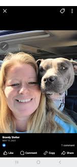 Lost Dogs in Wickenburg Area