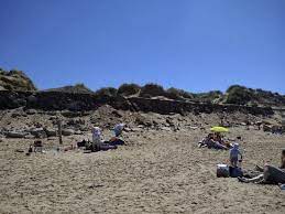 A large car park provides great access to both the reserve and the formby's award winning beach. Formby Beach Showing The Old Car Park Now Mostly Eroded Away Picture Of Formby Beach Tripadvisor