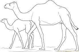 Check spelling or type a new query. Baby Camel With Her Mother Coloring Page For Kids Free Camel Printable Coloring Pages Online For Kids Coloringpages101 Com Coloring Pages For Kids