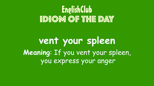 Pin By Dorota Zaplotniak On Improving Your English Idioms And Phrases Conversational English English Idioms