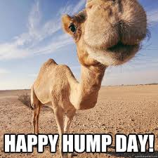 512 x 512 jpeg 49 кб. Hump Day Update Chs Trojan Band