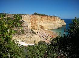Vannak meleg és napos üdülőhelyek; Szabad Foto Palmak Portugalia Algarve Palm Hippopx
