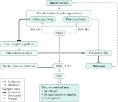 Parkinson's disease is a type of movement disorder that can affect the ability to perform common, daily activities. Parkinson Disease And The Gut New Insights Into Pathogenesis And Clinical Relevance Nature Reviews Gastroenterology Hepatology