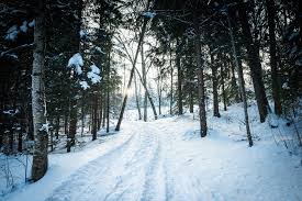 Image result for images Finding Beauty in Your Winter Season